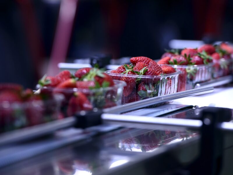 INZ “disrupting” NZ’s food supply chain – ACT