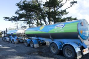 FMA clears Fonterra on write-downs