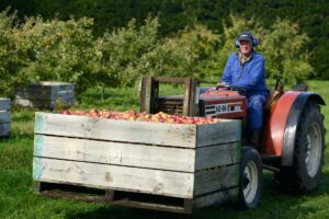 RIF loan means Hawkes Bay water project progress