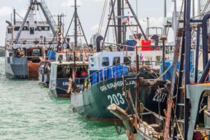 Perspectives: With contentious fisheries reforms on hold, should NZ rethink bottom trawling?