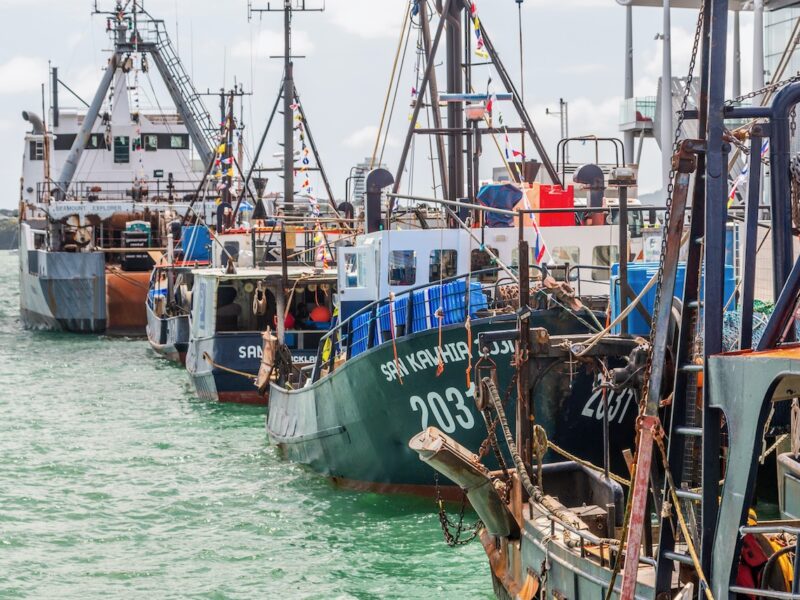 Fisheries NZ in reporting refresh