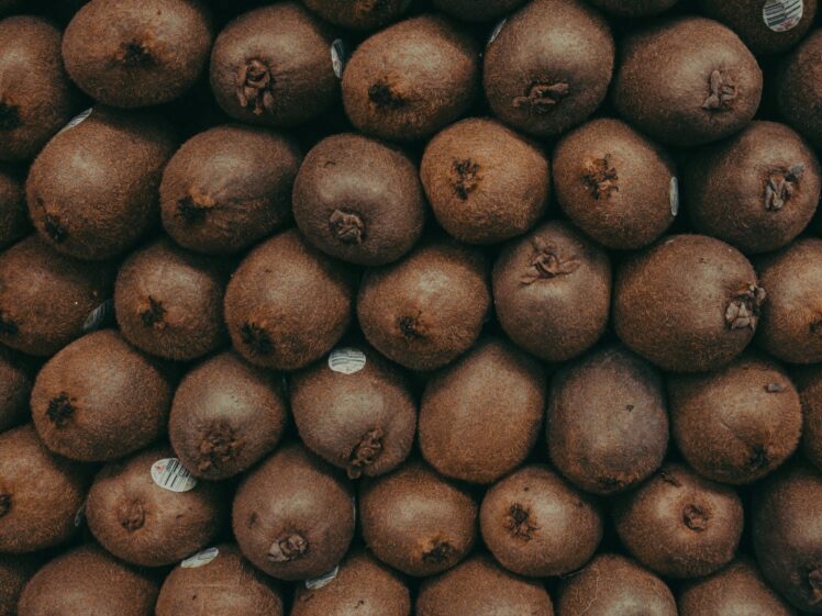 Kiwifruit harvest down on 2021
