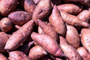 EPA approves pesticide to combat parasitic worms in veges