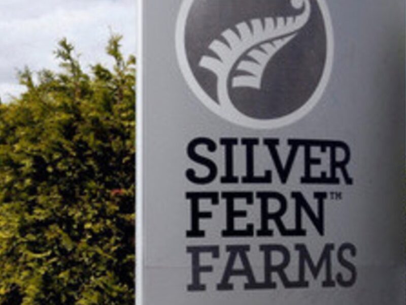 Silver Fern Farms rebound