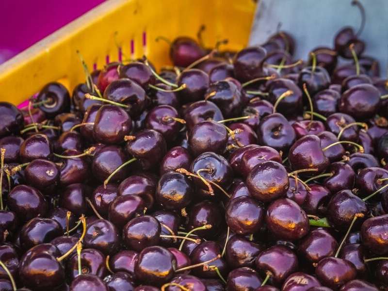 …as record cherry season will test China demand – Rabobank
