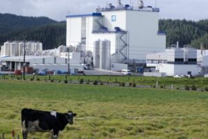 Rabobank forecasts $9kg/ms farmgate milk price, but uncertainty continues