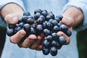 Table grapes import standard consultation