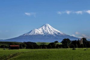 F&B startup selected for Venture Taranaki PowerUp Kickstart