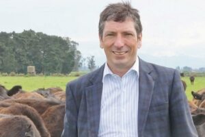 B+LNZ boss stepping down