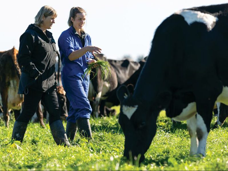 New female dairy leaders scholarship