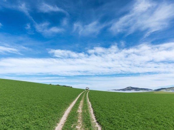 SFFF backs biopesticide project