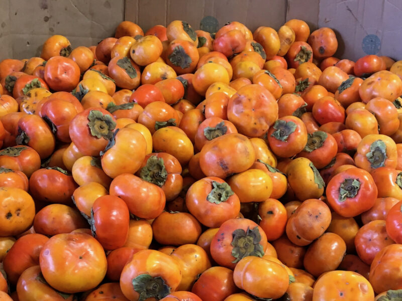 NZ persimmon volumes down on challenging start