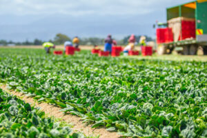 New initiative aims to grow food and fibre companies