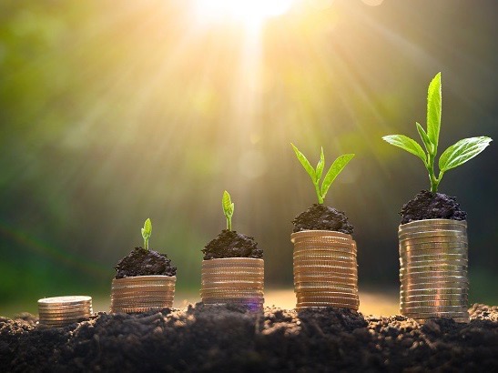US a hot-house for plant-based food growth