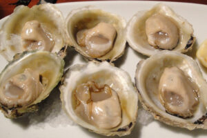 Oysters off the menu at Ngāi Tahu Seafood