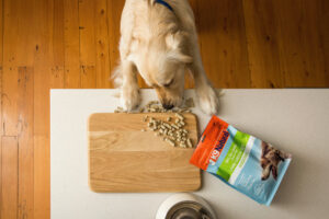 B Corp for Natural Pet Food Group