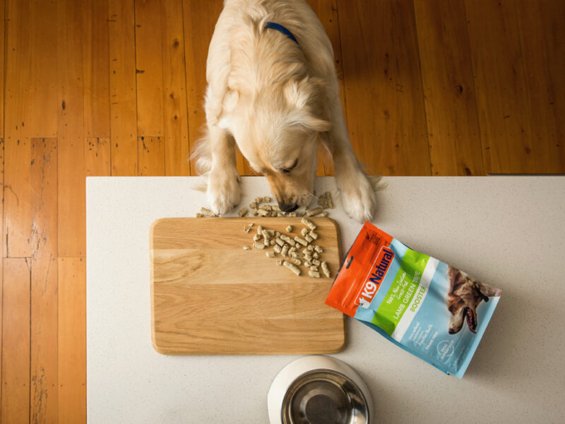 B Corp for Natural Pet Food Group