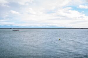 Fine for Northland fishing company