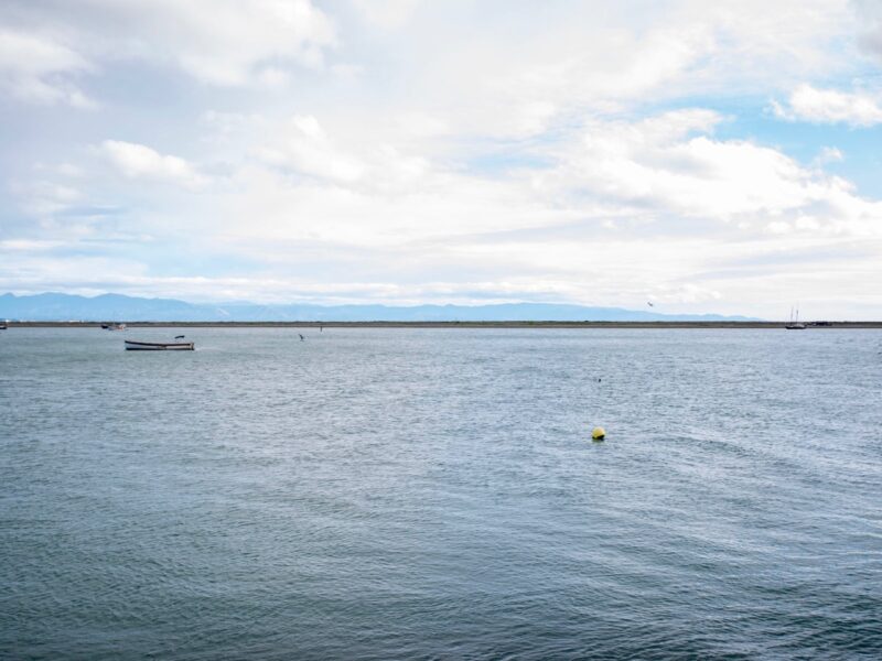Fine for Northland fishing company