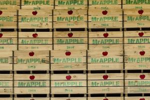 Scales upgrades earnings guidance