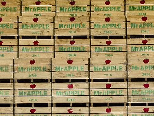 Scales upgrades earnings guidance