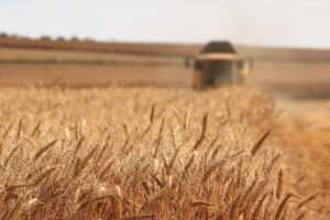 FAO Food Price Index increases in April