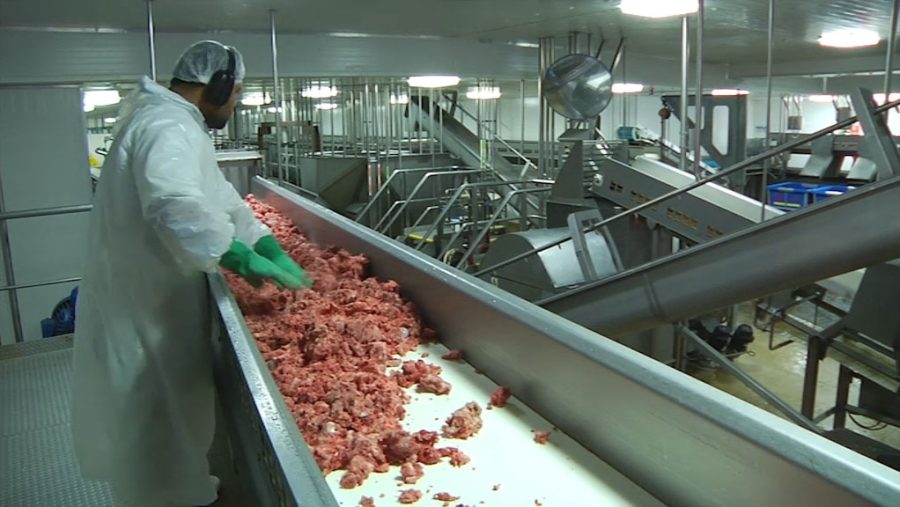 Scales forecasts NPAT increase in FY25