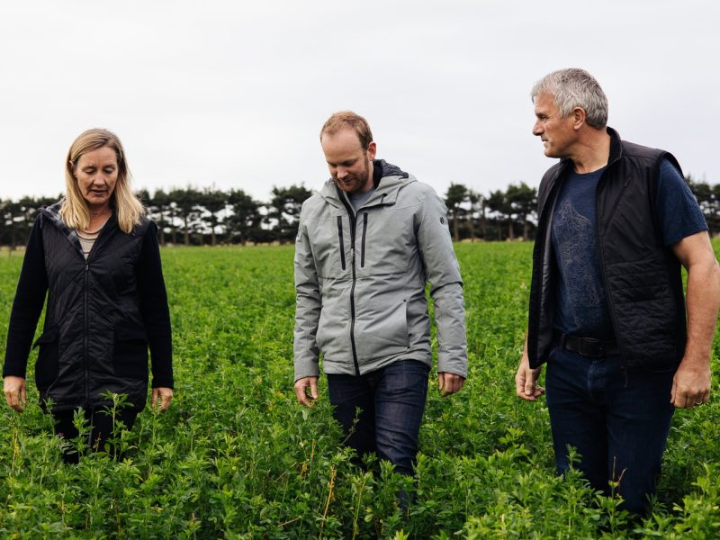Leaft Foods flies flag with $22m fundraise