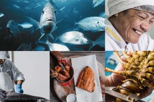 Ngati Porou Seafoods expands with $7.5m Akaroa Salmon deal
