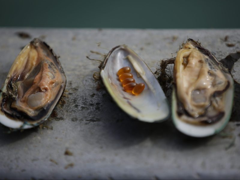 Iwi settlement unlocks new Bay of Plenty aquaculture engine
