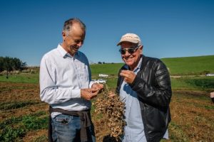 Pic’s NZ-grown peanut harvest nears completion, taste test to come