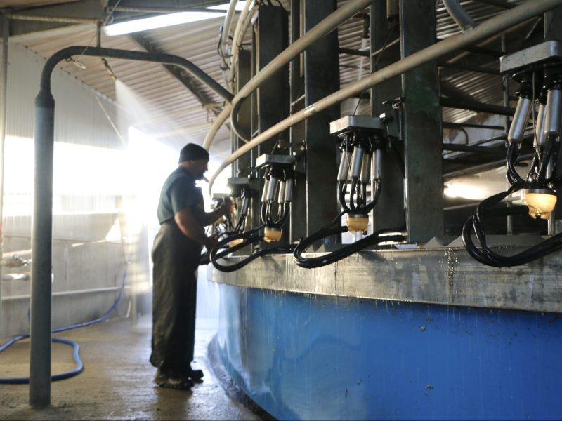 Fourth straight rise for GDT Index