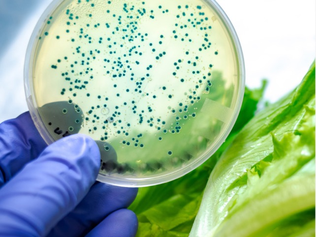 R&D tax incentive backs $2bn of innovation – govt