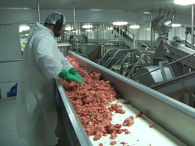 Scales invests $41m to up Shelby stake