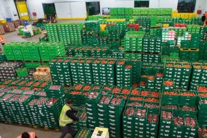 Te Mata Exports swallows Aussie counterpart