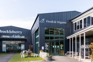 Huckleberry liquidation: Sales process started, creditor claims top $2.8m