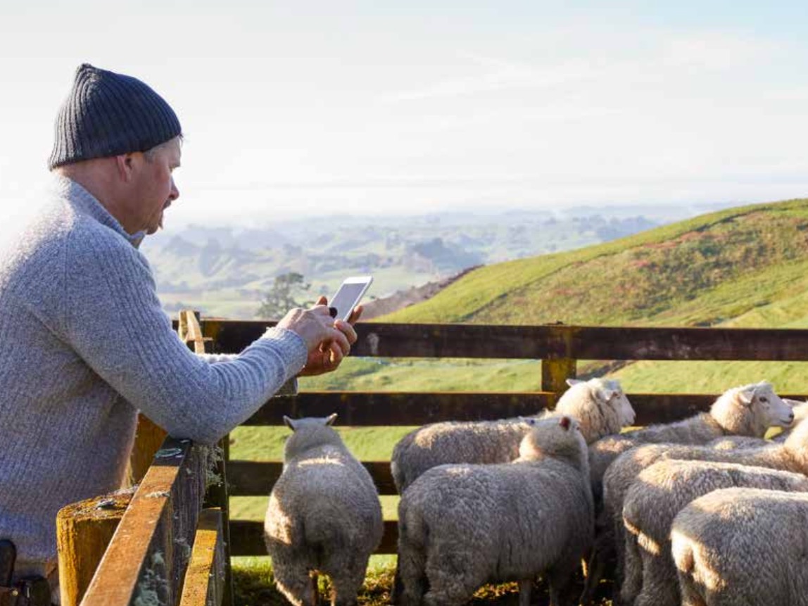 Agritech opportunities and myths – AgritechNZ report