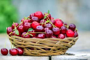 NZIFST: Is it time to reset food production in New Zealand?