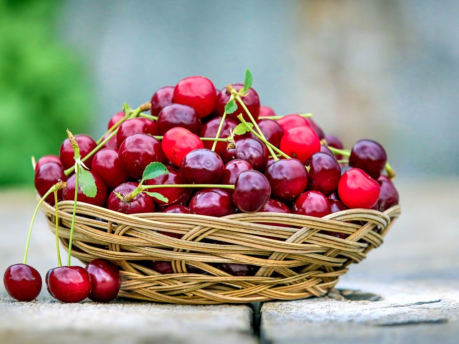 NZIFST: Is it time to reset food production in New Zealand?