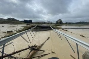 MPI boosts animal welfare capacity during emergencies