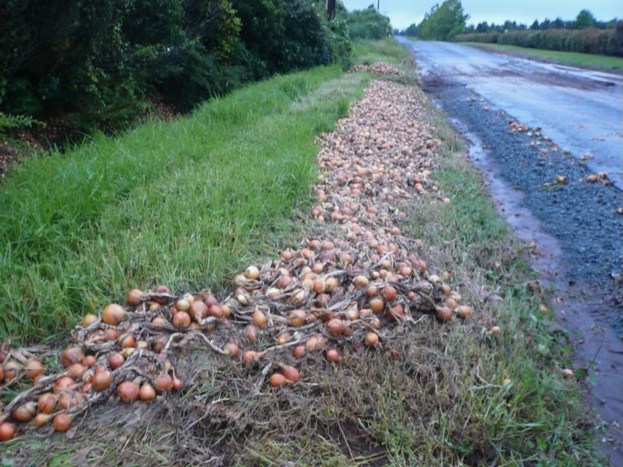 The trillion dollar impact of disasters on agriculture