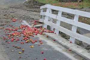 Hawke’s Bay remembers Cyclone Gabrielle victims