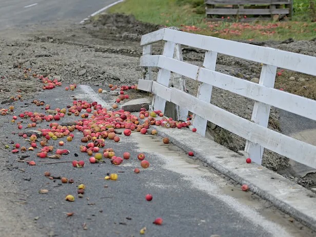Hawke’s Bay remembers Cyclone Gabrielle victims