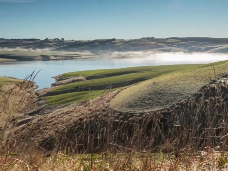 Pāmu farms in afforestation agreement