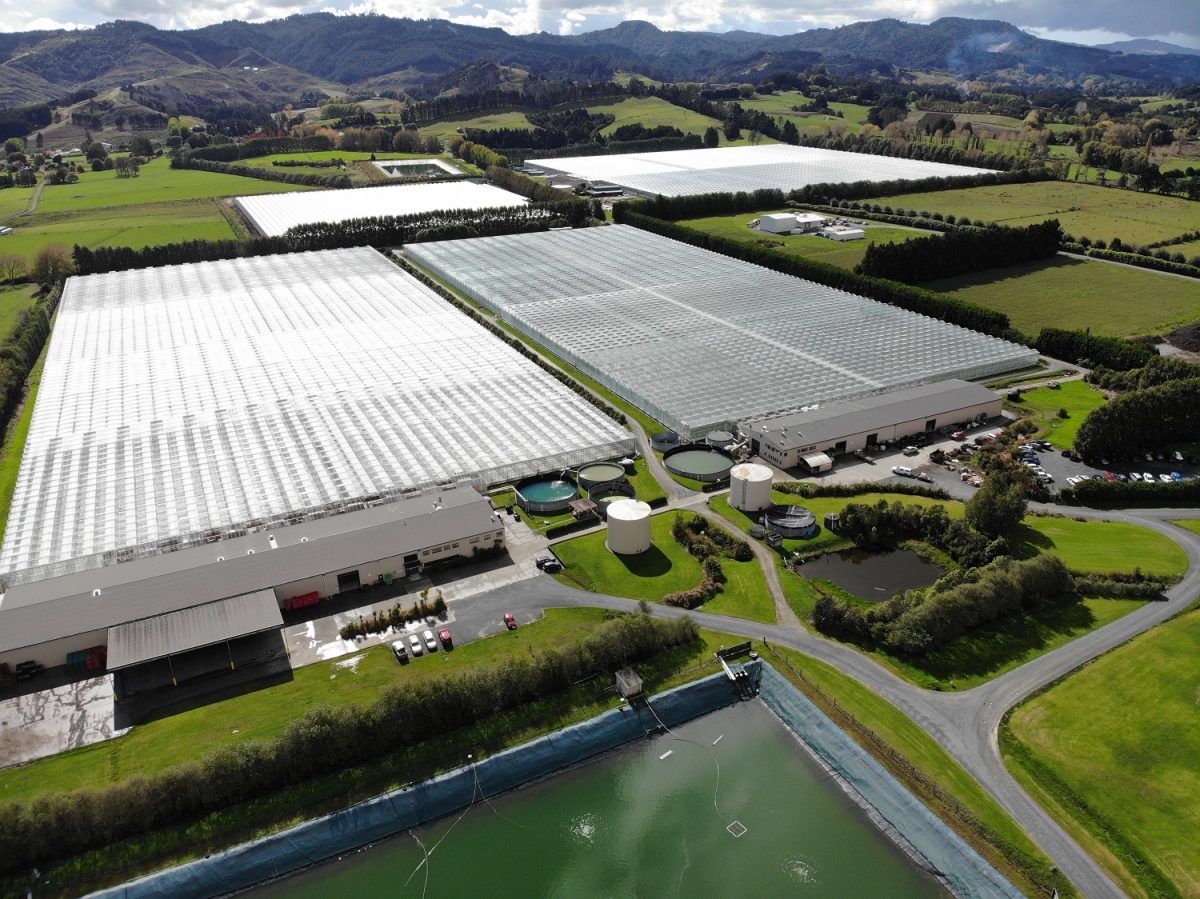 MG buys Warkworth’s Southern Paprika
