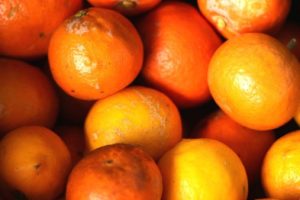 New Plymouth food rescue hub to help foodbanks