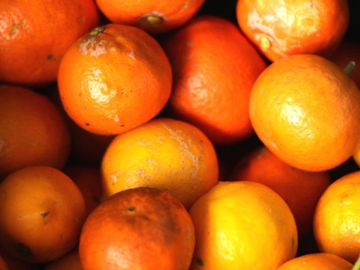 New Plymouth food rescue hub to help foodbanks