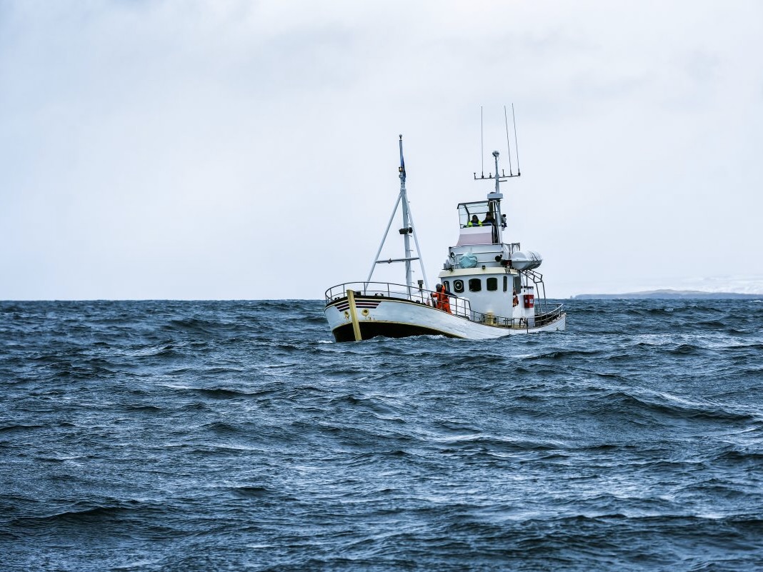 EDF, WFF welcome Fisheries Bill delay