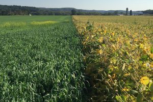 EPA seeks views on banning crop insecticide