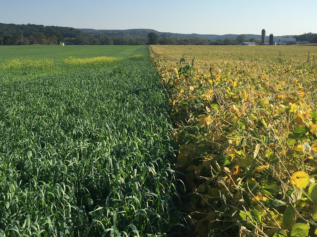 EPA seeks views on banning crop insecticide